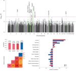 Broadened Genetic Insights on Education