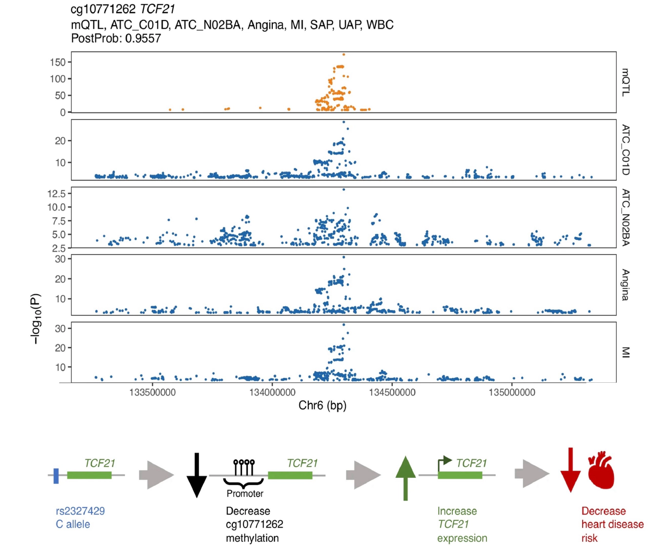 Mapping the Genetic Architecture of Methylation